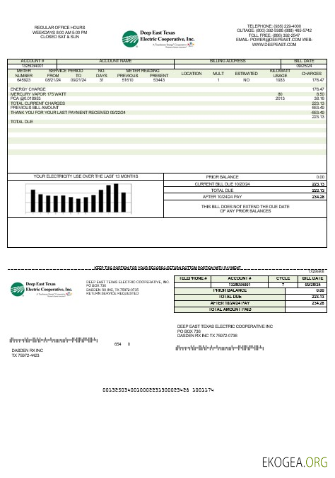 Modèle de facture de services publics pour les entreprises USA Deep East Texas Electric aux formats Word et PDF